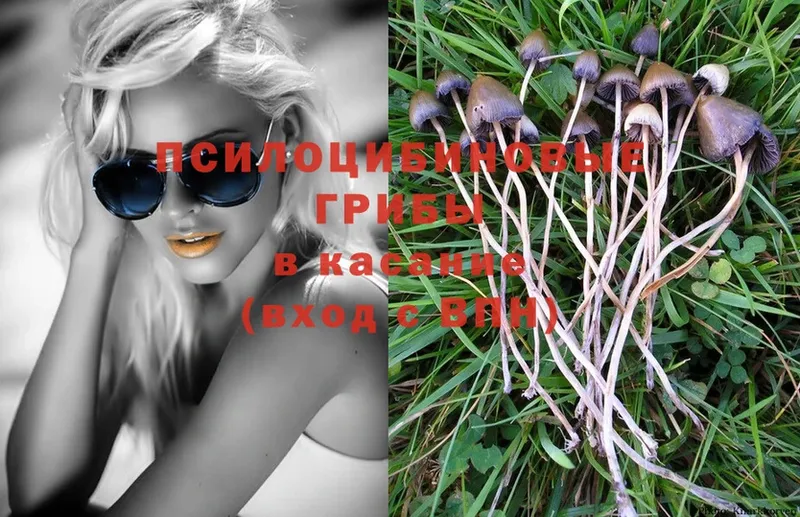 Псилоцибиновые грибы MAGIC MUSHROOMS  Кизел 